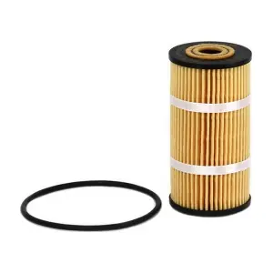 SCT - MANNOL SH4081P