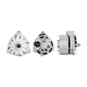 ELSTOCK 480734