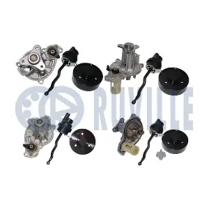 561629 RUVILLE