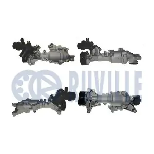 561813 RUVILLE