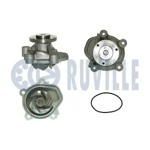 RUVILLE 56301