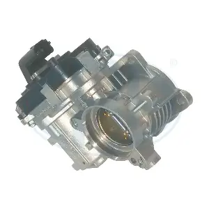 556144 ERA