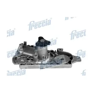 WP0539 FRECCIA