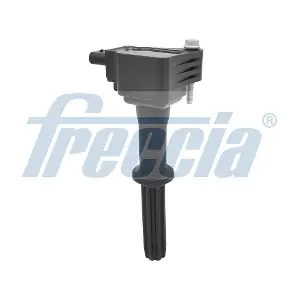 IC15-1039 FRECCIA