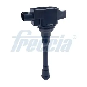 IC15-1153 FRECCIA