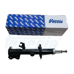 SA20-1042 FRECCIA