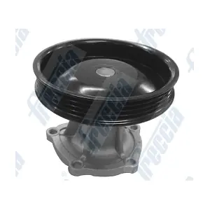 WP0552 FRECCIA