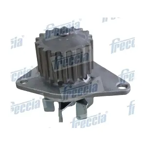 WP0143 FRECCIA