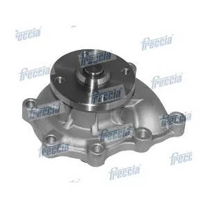 WP0289 FRECCIA