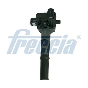 IC15-1088 FRECCIA