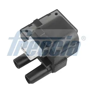 IC15-1016 FRECCIA