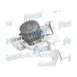 WP0538 FRECCIA