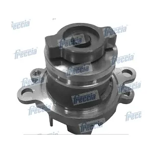 WP0290 FRECCIA