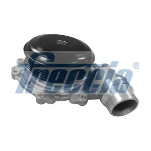 WP0591 FRECCIA