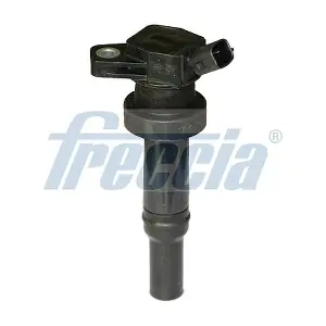 IC15-1109 FRECCIA