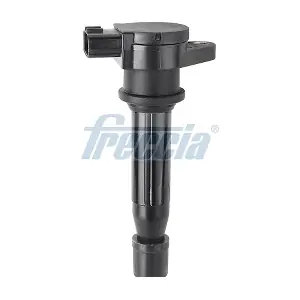 IC15-1096 FRECCIA