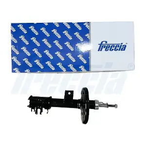 SA201012 FRECCIA