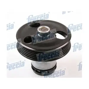 WP0549 FRECCIA