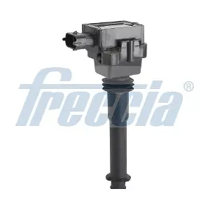 IC15-1024 FRECCIA