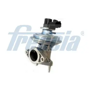 EGR12-184 FRECCIA