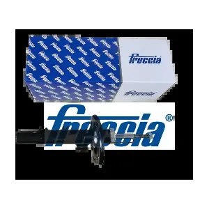 SA20-1081 FRECCIA