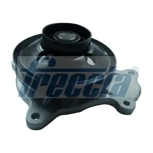 WP0612 FRECCIA