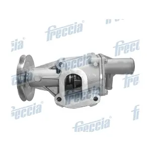 WP0208 FRECCIA