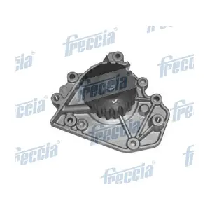 WP0163 FRECCIA