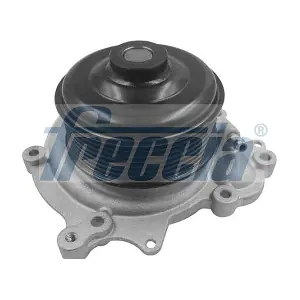 WP0607 FRECCIA