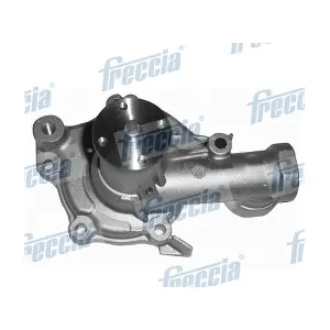 WP0534 FRECCIA