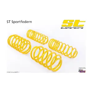 ST suspensions 28290064 Комплект ходової частини, ресори