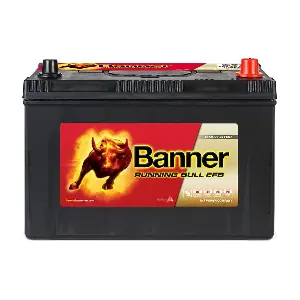 Banner 012595150101