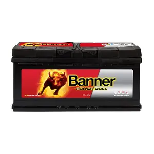 Banner 013600400101