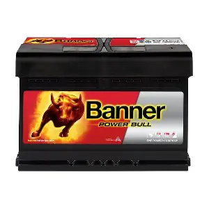 Banner 013574120101