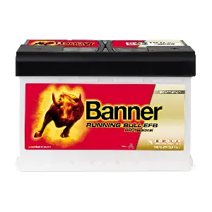 Banner 012575110101