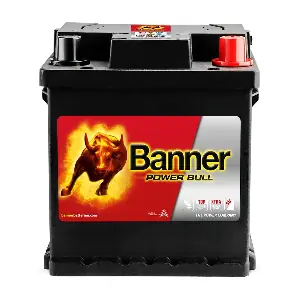 Banner 013542080101