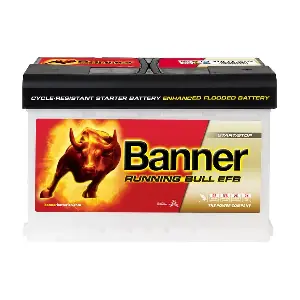Banner 012570110101