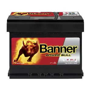 Banner 013562190101
