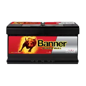Banner 013595330101