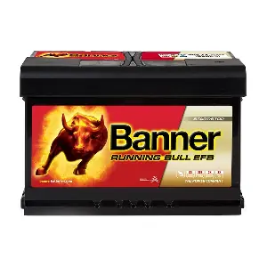 Banner 012565120101