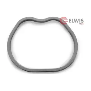 0255595 ELWIS ROYAL