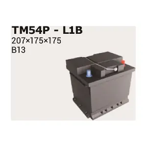IPSA TM54P
