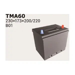 IPSA TMA60