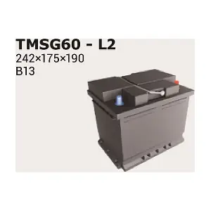 IPSA TMSG60