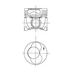 PI003100 IPSA