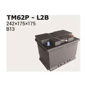 IPSA TM62P