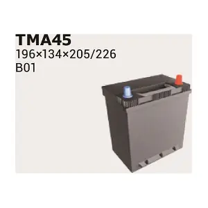 IPSA TMA45