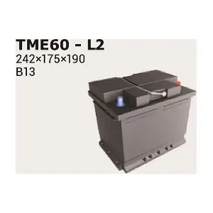 IPSA TME60