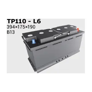 IPSA TP110