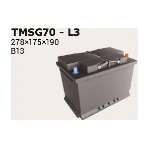 IPSA TMSG70